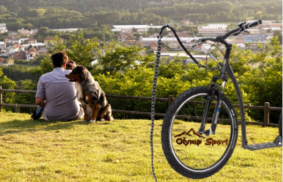 Koloběžka Kostka Mushing Racer Fun G5 (27,5/20) - žlutá