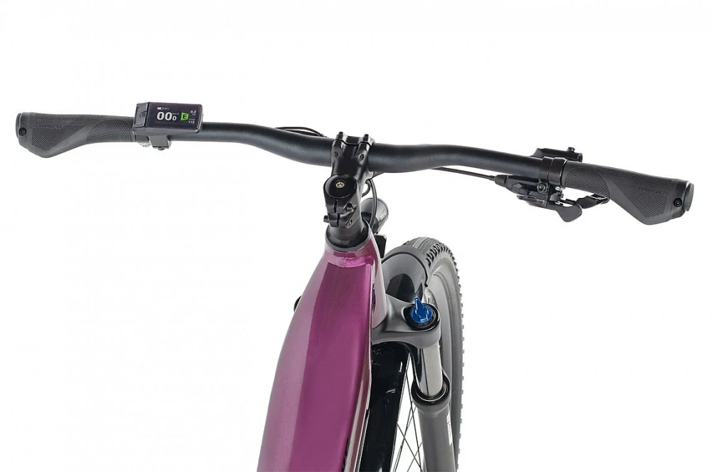 Maxbike Frida 2026-  univerzální elektrokolo 29"  - 720 Wh (20 Ah)  - pearl beet red