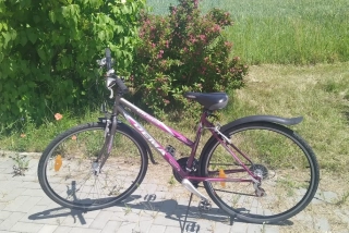 Dema Ormea - krosové kolo dámské 28" - fialová - vel. 18" (M)