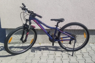 Liv Bliss - dámské/juniorské kolo 26" - modrá/růžová - vel. 15" (S, XS)